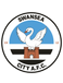 Swansea City
