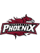 Cumberland Phoenix (Cumberland University) Cumberland Phoenix (Cumberland University)