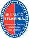 Calcio Flaminia
