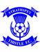 Strathspey Thistle FC