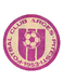 FC Arges Pitesti (- 2013)