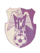 FC Arges Pitesti (- 2013)