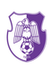 FC Arges Pitesti (- 2013)