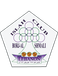 Islah Borj Al-Shmali Club Islah Borj Al-Shmali Club