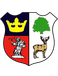 Cinderford Town FC
