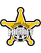 FC Sheriff Tiraspol