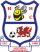 Holyhead Hotspur Holyhead Hotspur