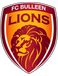 FC Bulleen Lions FC Bulleen Lions