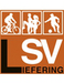Lieferinger SV Jugend