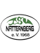 TSV Natternberg