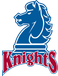 FD Knights (Fairleigh Dickinson University)