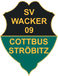 SV Wacker 09 Cottbus Ströbitz