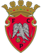 FC Penafiel FC Penafiel