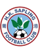 King Fung FC