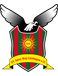 SV Inter Roj