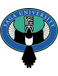Saga University