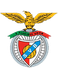 Sport Viseu e Benfica