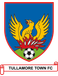 Tullamore Town FC