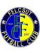 FC Felcsút