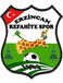 Erzincan SK
