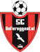 SG Defereggental SG Defereggental