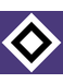 Hamburger SV VIII