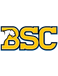 Birmingham Southern Panthers