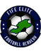 Fife Elite Football Academy (- 2021) Fife Elite Football Academy (- 2021)