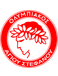 Olympiakos Agiou Stefanou