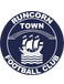 Runcorn Town