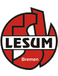 TSV Lesum-Burgdamm TSV Lesum-Burgdamm
