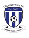 Collinstown FC