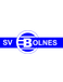 SV Bolnes SV Bolnes