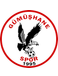 Gümüshanespor Jugend