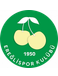 Konya Ereglispor