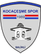 Kocacesme