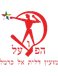 Hapoel Daliyat al-Karmel