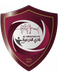 Al-Diraiyah FC
