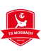 Türkspor Mosbach