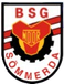 FSV Sömmerda