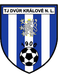 TJ Dvur Kralove nad Labem