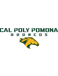 Cal Poly Pomona Broncos Cal Poly Pomona Broncos