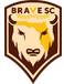 Brave SC