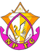 Nongbua Pitchaya FC
