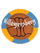 VV Hillegersberg