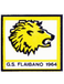 G.S. Flaibano
