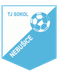 TJ Sokol Nebusice Jugend