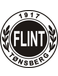 Flint Fotball Flint Fotball