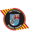 TSV Fortuna Billigheim-Ingenheim