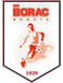 NK Borac Bobota
